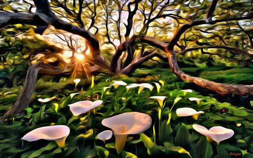 865030 (a): :1920x1200